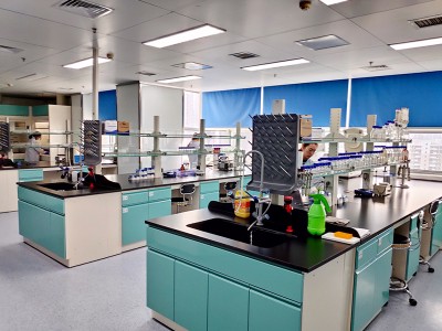 Wie verhindert man gastrointestinales Ödem der Schweinefleischkrankheit?